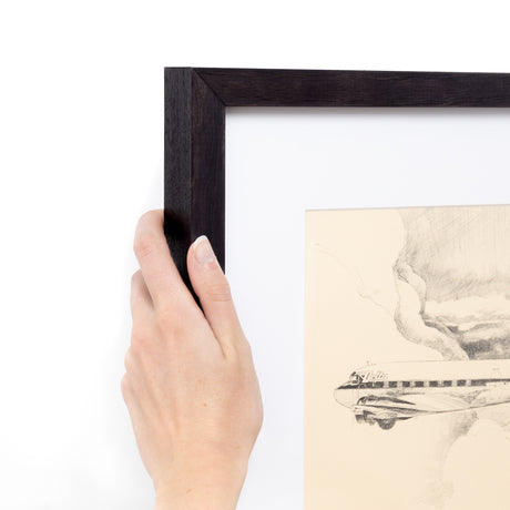 Black Walnut (Gallery) photo with hand for scale