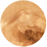 Burl Wood swatch